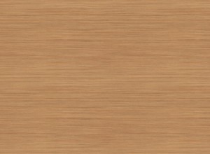 H3070 ST22