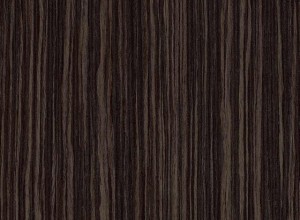 H3082 ST22