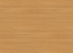 H3389 ST11